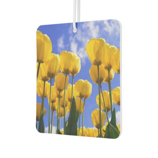 Désodorisant Pour Voiture Fraîcheur d'air des Tulipes Jaunes carrés (Gauche)