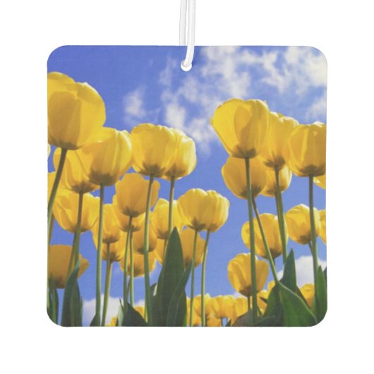Désodorisant Pour Voiture Fraîcheur d'air des Tulipes Jaunes carrés (Dos)