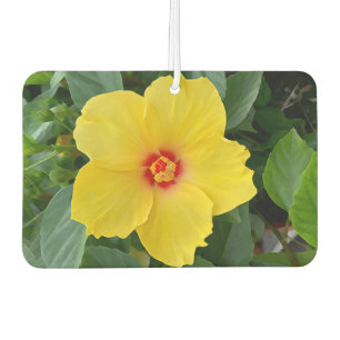 Désodorisant Pour Voiture Freshener de l'air de l'Hibiscus jaune