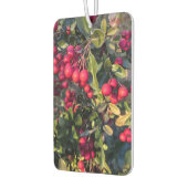 Désodorisant Pour Voiture Fruit d'automne (Gauche)