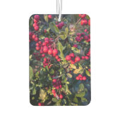 Désodorisant Pour Voiture Fruit d'automne (Dos)