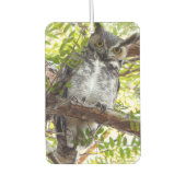 Désodorisant Pour Voiture Fun Owl Vous Regardant (Devant)