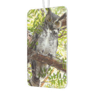 Désodorisant Pour Voiture Fun Owl Vous Regardant