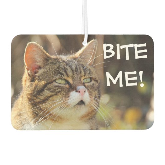 Désodorisant Pour Voiture Funny Sassy Cat with Attitude Bite Me (Devant)