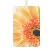 Désodorisant Pour Voiture Gerbera Daisy (Dos)