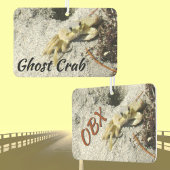Désodorisant Pour Voiture Ghost Crab OBX Outer Banks NC Photographie