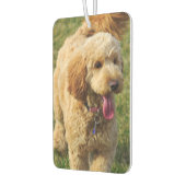 Désodorisant Pour Voiture Goldendoodle (Gauche)