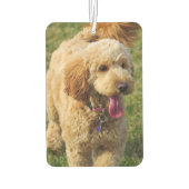 Désodorisant Pour Voiture Goldendoodle (Dos)