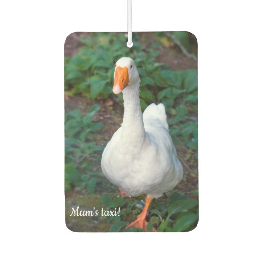 Désodorisant Pour Voiture Goose Car air freshener (Devant)