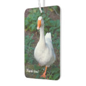 Désodorisant Pour Voiture Goose Car air freshener (Gauche)