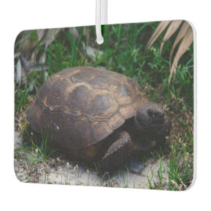 Désodorisant Pour Voiture Gopher Tortoise