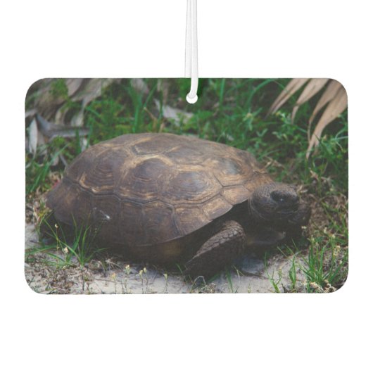 Désodorisant Pour Voiture Gopher Tortoise (Devant)