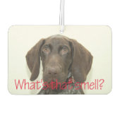 Désodorisant Pour Voiture Grizzly brillant quelle est cette odeur ? (Dos)