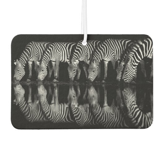 Désodorisant Pour Voiture Group of Plains Zebra Drink Together at Night (Devant)