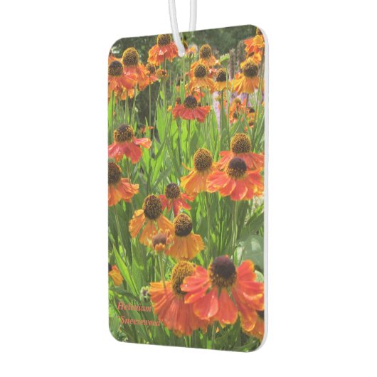 Désodorisant Pour Voiture Helenium "Eternuzée" (Gauche)