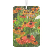 Désodorisant Pour Voiture Helenium "Eternuzée" (Dos)