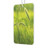 Désodorisant Pour Voiture herbe verte (Gauche)