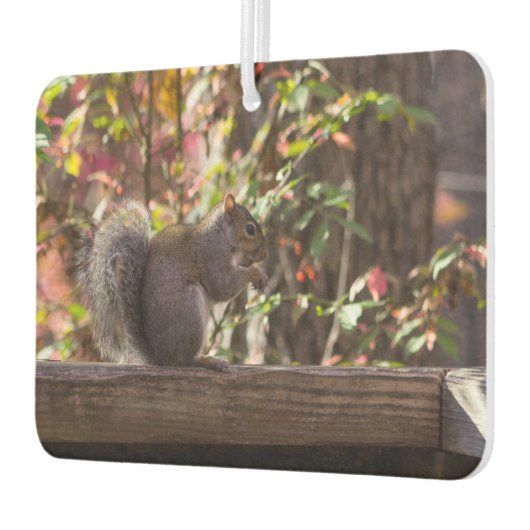 Désodorisant Pour Voiture Heure des écureuils (Gauche)