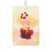 Désodorisant Pour Voiture Hibiscus (Dos)