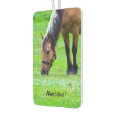 Désodorisant Pour Voiture Horse Machine à laver (Gauche)