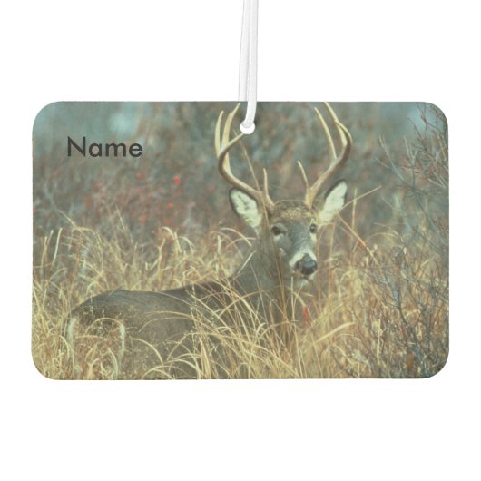 Désodorisant Pour Voiture Huit points en l'herbe (Dos)