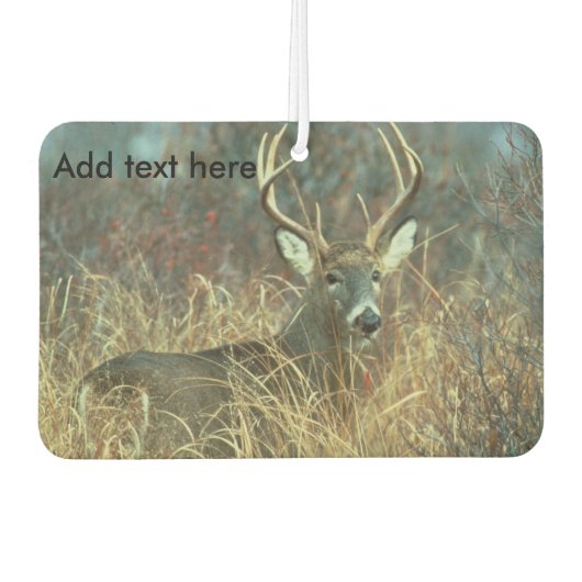 Désodorisant Pour Voiture Huit points en l'herbe (Devant)