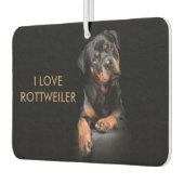 Désodorisant Pour Voiture Island Breeze paysage Rectangle Air Rottweiler (Gauche)