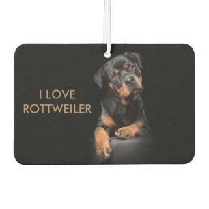 Désodorisant Pour Voiture Island Breeze paysage Rectangle Air Rottweiler