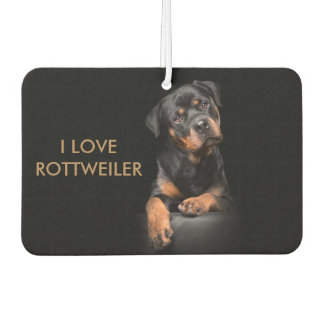 Désodorisant Pour Voiture Island Breeze paysage Rectangle Air Rottweiler