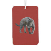 Désodorisant Pour Voiture Jaguar Diablo (Dos)