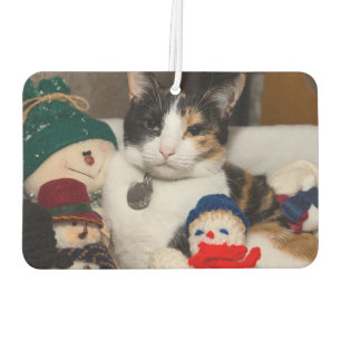 Désodorisant Pour Voiture Je vois un chat calico