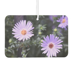 Désodorisant Pour Voiture Jolie Fleurs violettes Photographie originale du j