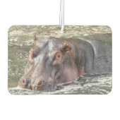 Désodorisant Pour Voiture Joyeux Hippo (Dos)