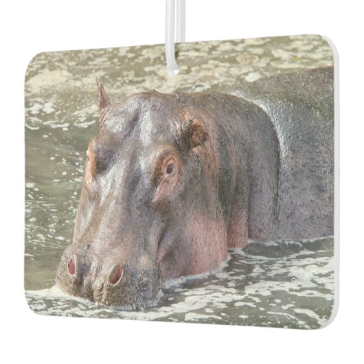 Désodorisant Pour Voiture Joyeux Hippo (Gauche)