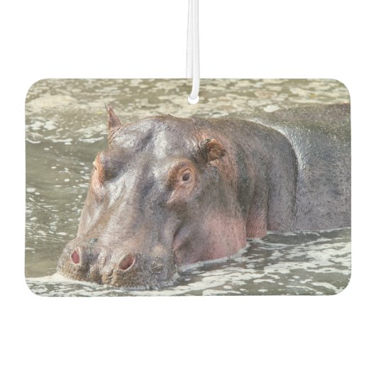 Désodorisant Pour Voiture Joyeux Hippo (Devant)