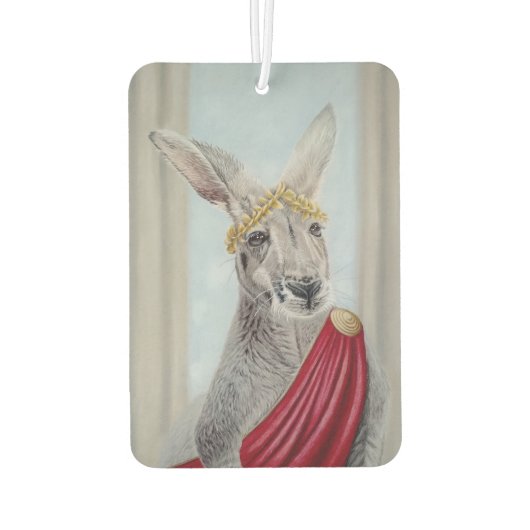 Désodorisant Pour Voiture Kangus Aroolius (Dos)