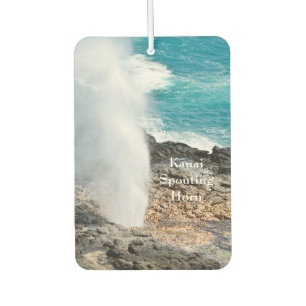 Désodorisant Pour Voiture Kauai Aqua Océan Corne Soufflant Poipu 