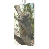 Désodorisant Pour Voiture Koala - Dormir (Gauche)