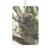 Désodorisant Pour Voiture Koala - Dormir (Dos)
