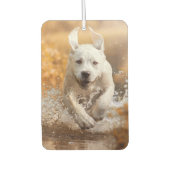 Désodorisant Pour Voiture Labrador Retriever Runer in River Air Freshener (Devant)