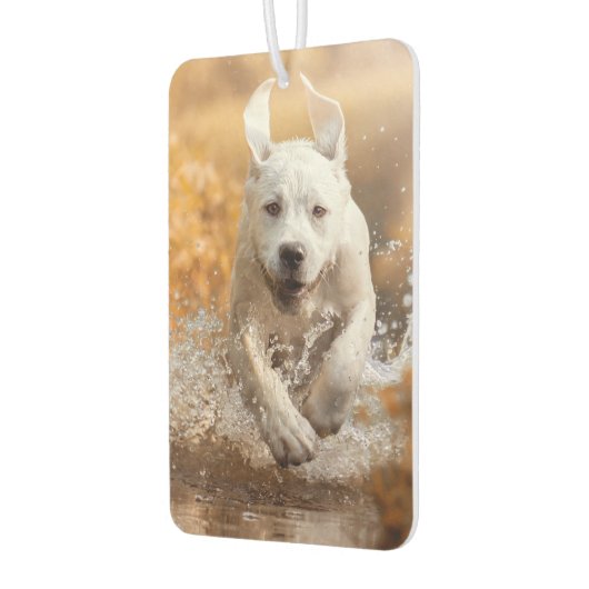 Désodorisant Pour Voiture Labrador Retriever Runer in River Air Freshener (Gauche)