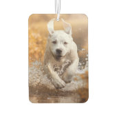 Désodorisant Pour Voiture Labrador Retriever Runer in River Air Freshener (Dos)