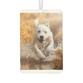 Désodorisant Pour Voiture Labrador Retriever Runer in River Air Freshener (Dos)