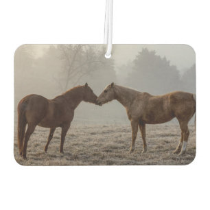 Désodorisant Pour Voiture L'amour du cheval