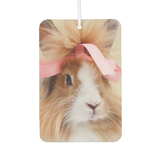 Désodorisant Pour Voiture Lapin Lapin Lapin Lionhead Fluffy (Devant)