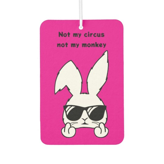 Désodorisant Pour Voiture Lapin Rose (Devant)