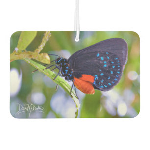 Désodorisant Pour Voiture L'Atala