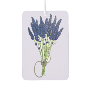 Désodorisant Pour Voiture Lavandula Lavender Bund Herbe Jardin Fleur Violet