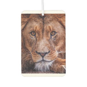 Désodorisant Pour Voiture Lion africain