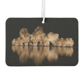 Désodorisant Pour Voiture Lion Pride Drinks at the Water Hole at Night (Dos)